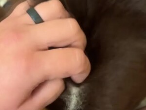 Thumb 8