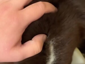 Thumb 9