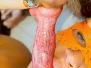 Sucking and fucking my crazy dog