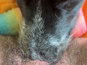 Hairy hole spoiled