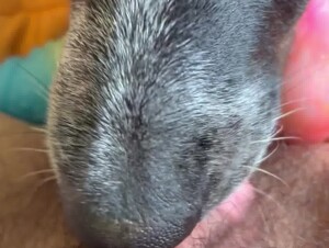 Thumb 10