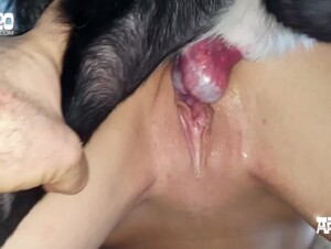 Thumb 8