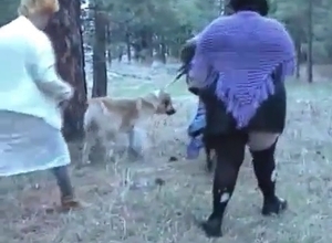 Crazy fat zoophiles have sex with their dogs