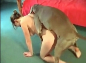 Dog drilled a tight wet vagina
