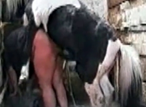 Pony in the awesome amateur bestiality