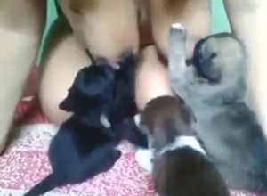 Big sagging breasts worshipped by puppies