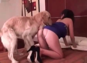 Bestial sex action with a slutty brunette