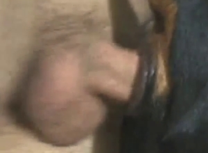 Rotty's tight hole gets fucked from the side