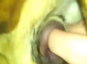 Dude is rubbing and fingering real dog pussy