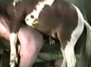 Dirty pony in the farm bestiality