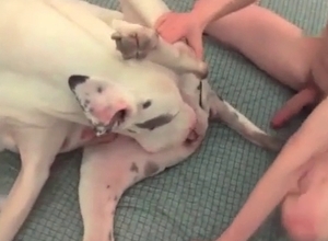 Passionate fucking with a bitch