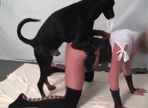 Tight crack and awesome animal