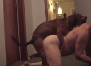Wide-eyed doggo sucking the owner's cock