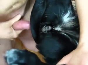 Big cock alpha male fucking a sexy doggo