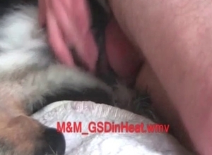 Impressive bestiality with a hairy doggy
