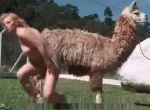 Southern cutie in the farm animality