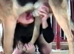 Rough dog bestiality with a cute shepherd