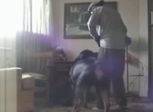 A cute lady likes intensive sex with her hot doggy