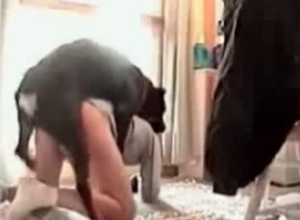 Doggy style anal with a dog
