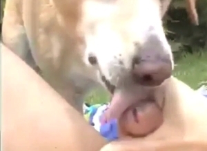 Backyard fantasy with a dog licking that dick
