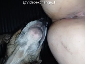 Thumb 6