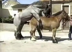 Beautiful animal showing off