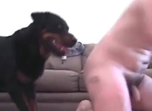 She wants to gulp dog semen right now