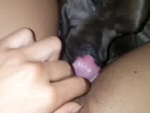 Thumb 8