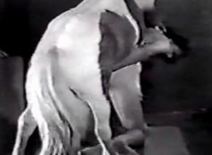 Pony has a really massive boner
