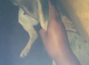 Animal playing around with a fingering guy