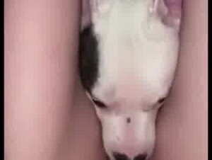 Thumb 6