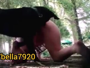 Second try in the forest