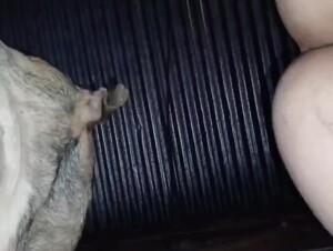 Thumb 10