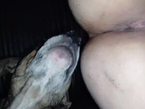 Thumb 6