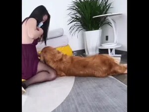 New dog video