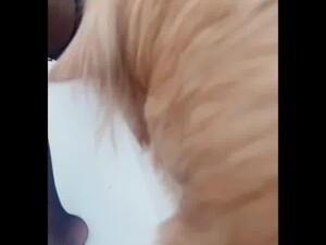 Thumb 8