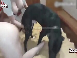 Thumb 6