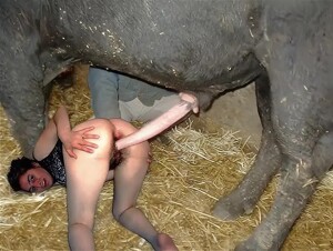 bull AI