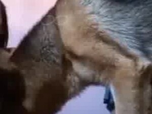 Thumb 9