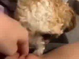 Thumb 9