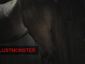 LustMonster Gay Horse Porn compilation