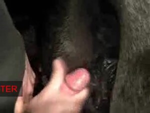 Thumb 8