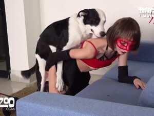 bullseye compilation