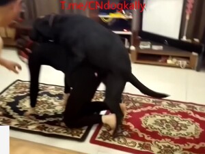Chinese cuckolding husband join dog party to watch his wife fucked by dog
