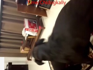 Thumb 6