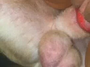 Thumb 6