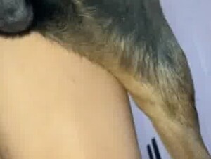 Thumb 8