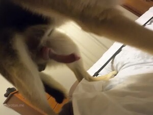 Thumb 6
