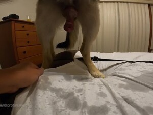 Thumb 8
