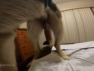 Thumb 9